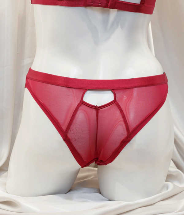 Red Bra and Undie Majestic 0003 0Y2A8123 1