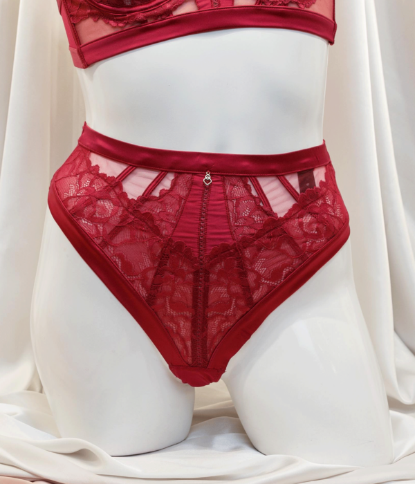 Red Bra and Undie Majestic 0006 0Y2A8117 1